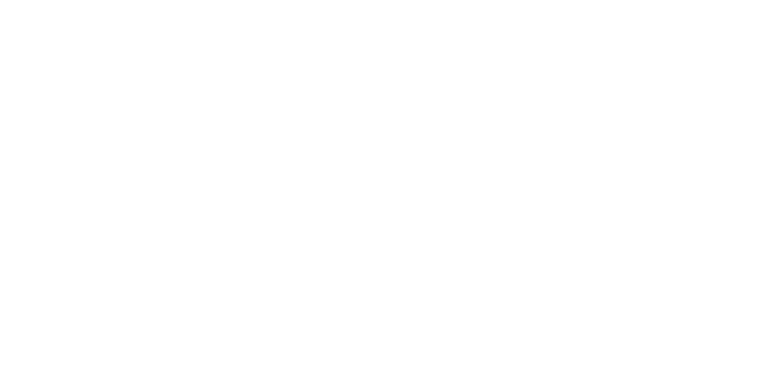 iBiz Logo - Your wealth Our Priority